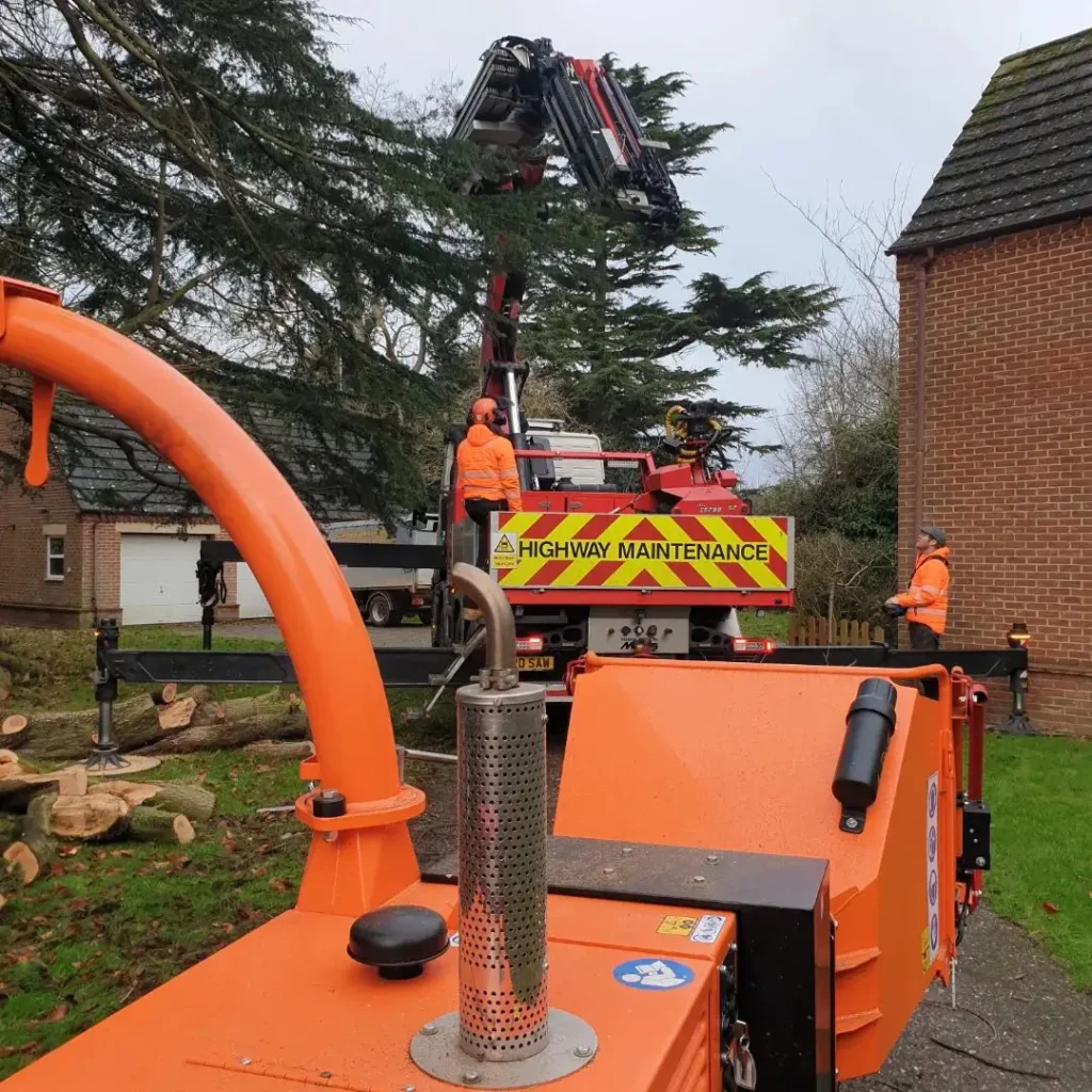 Tree removal tree pruning stump grinding arborist licensed professionals.